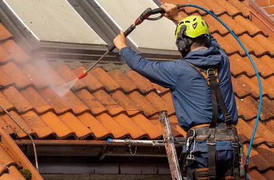 Démoussage et hydrofuge de toiture à Pia